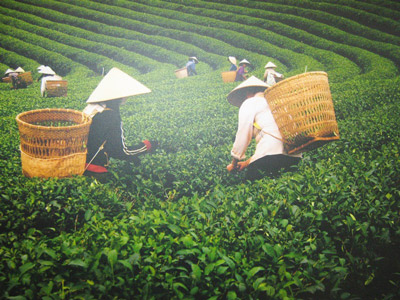Voyage photographique autour du chapeau conique